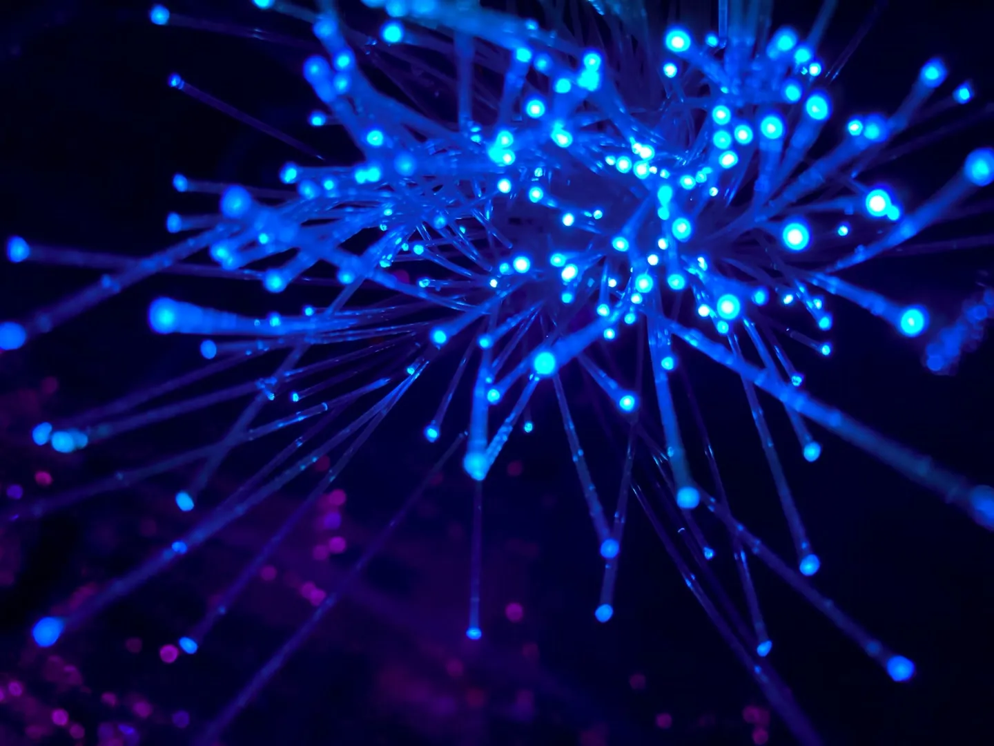 Data Center Infrastructure